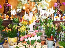 Lễ Phật Đản 2024